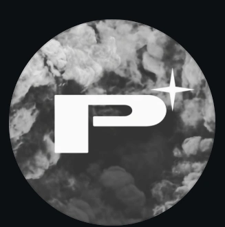 Perfectionist Auto Sound logo